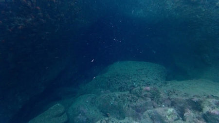kanaloa Diving 大島西 穴！