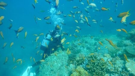 宮崎FUN Dive!