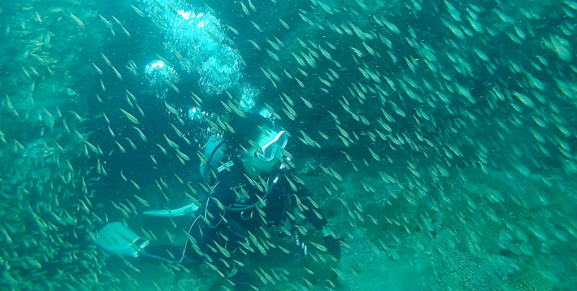 Slide Image