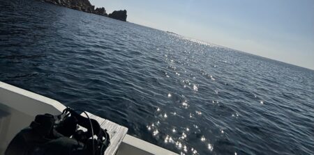 宮崎ダイビング！