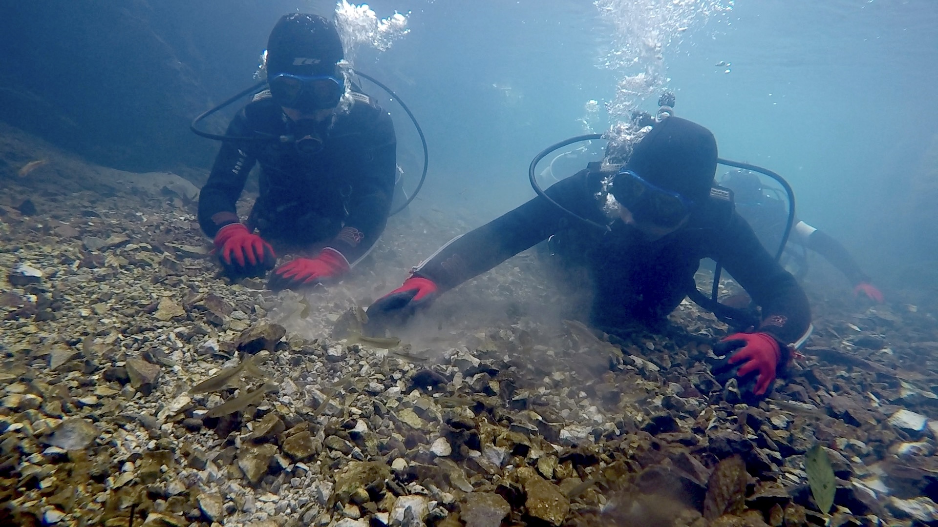 Slide Image