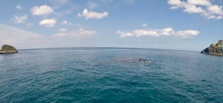 Experience Dive