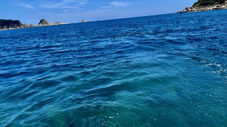 宮崎 Experience Dive